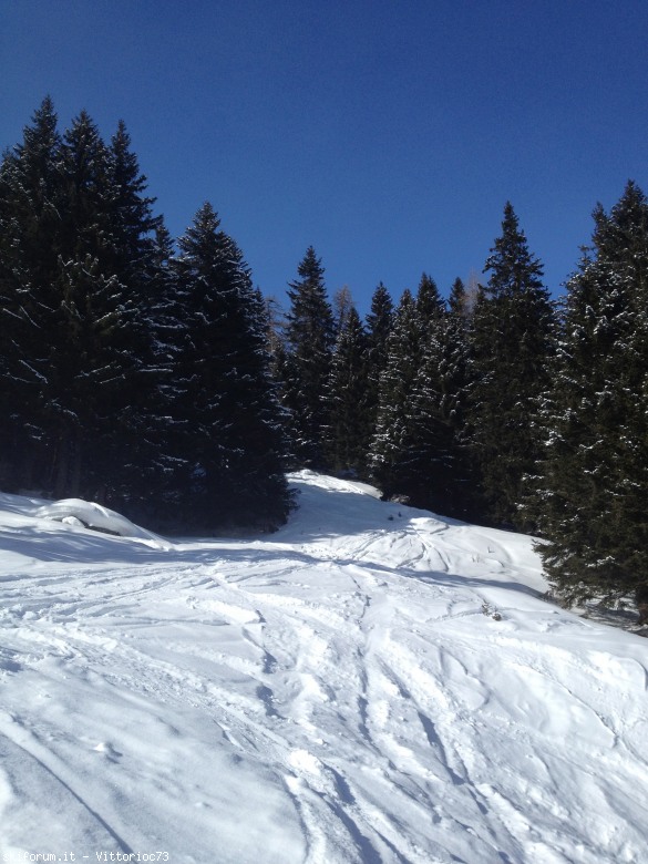 95462-img1340.jpg