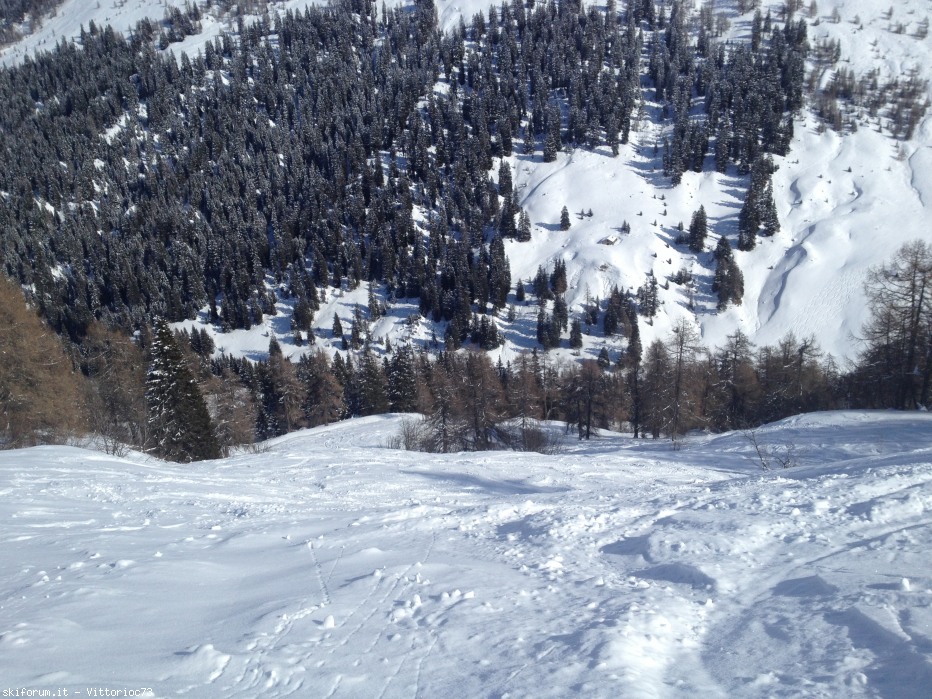 95463-img1341.jpg