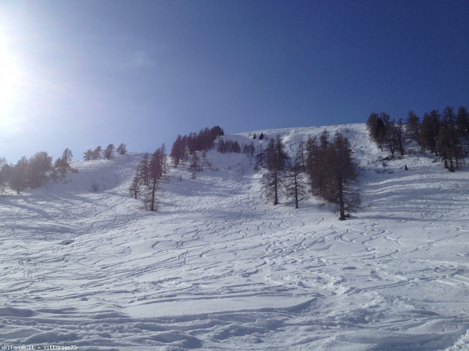 95466-img1347.jpg