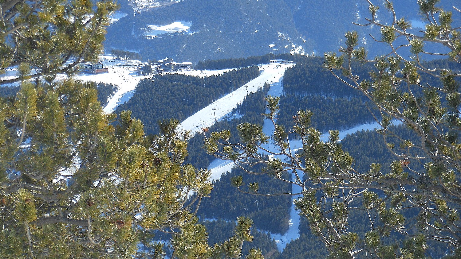 95551-pir-1021.jpg