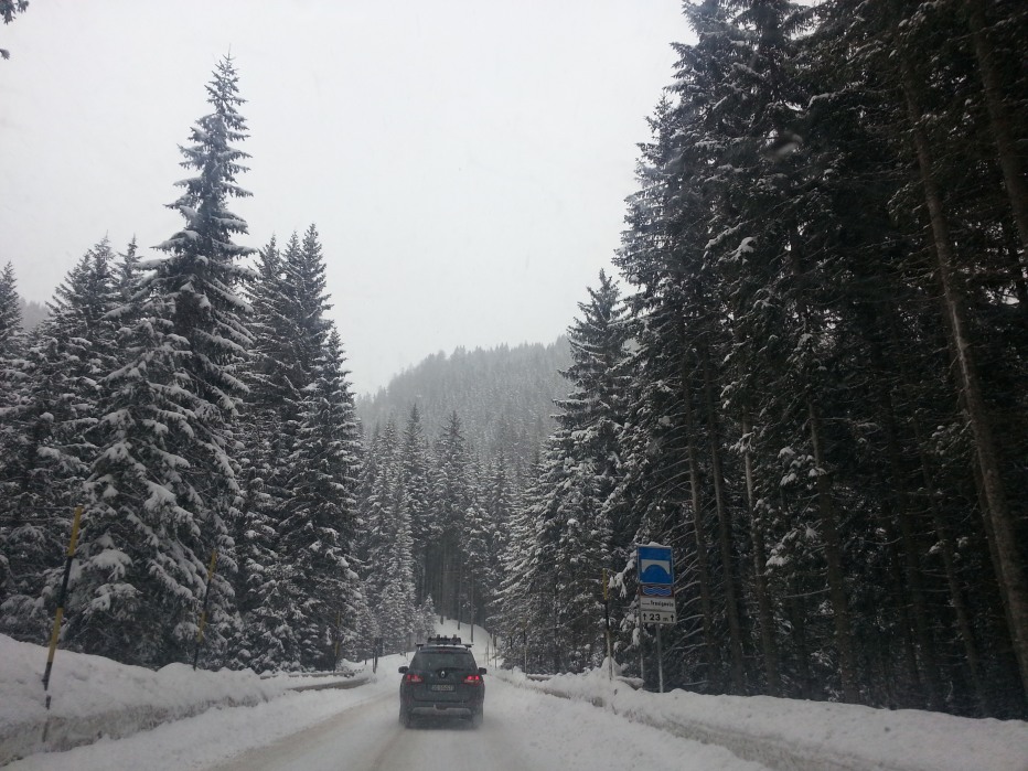 96497-passo-rolle-pietro-togni-2013-002.jpg
