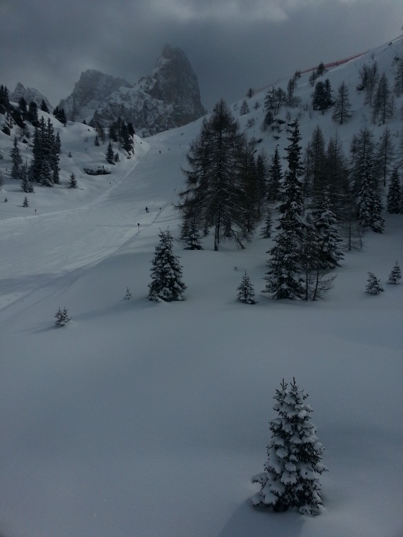 96498-passo-rolle-pietro-togni-2013-011.jpg