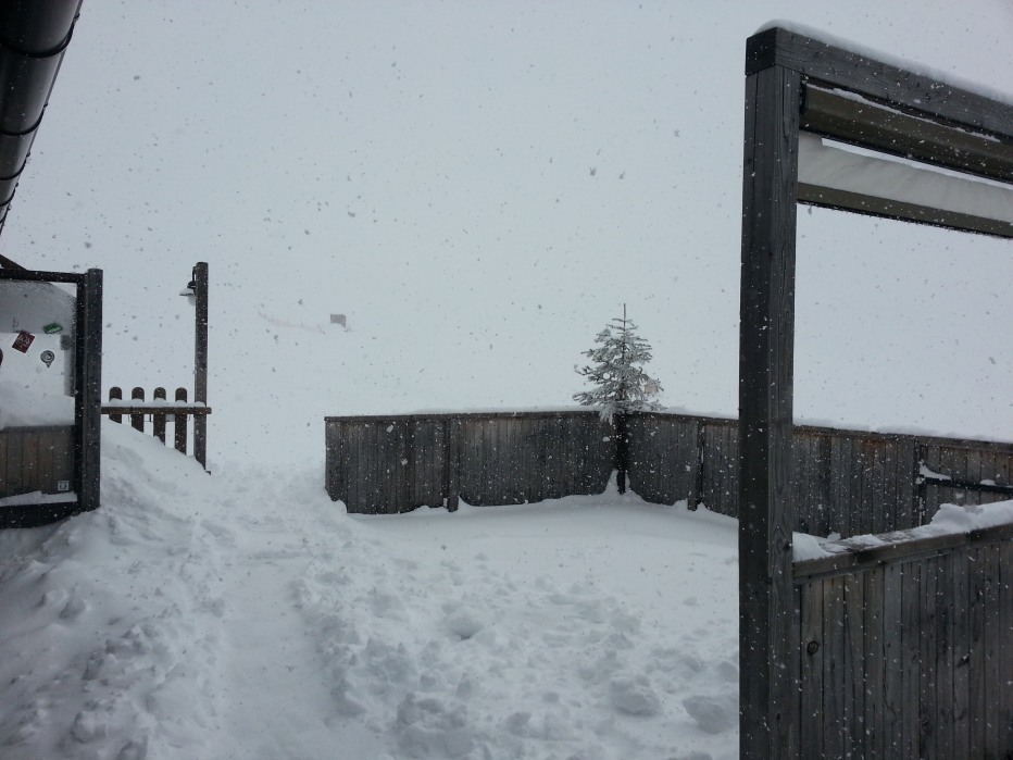 96503-passo-rolle-pietro-togni-2013-032.jpg