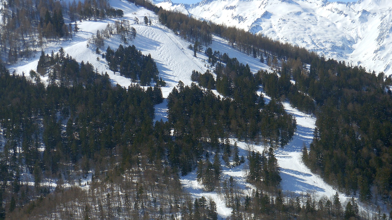 96646-pir-2433.jpg