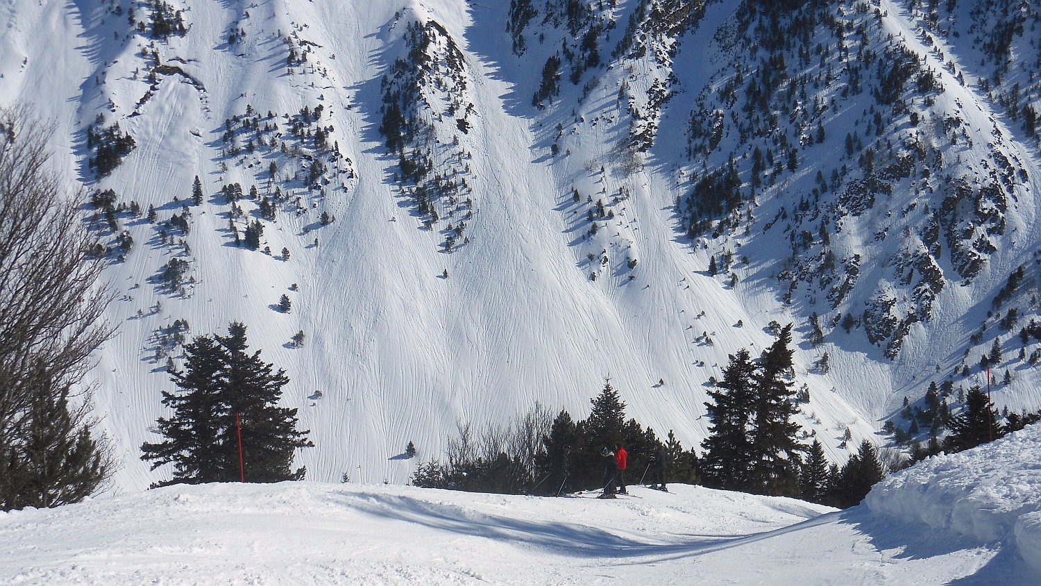96651-pir-2444.jpg