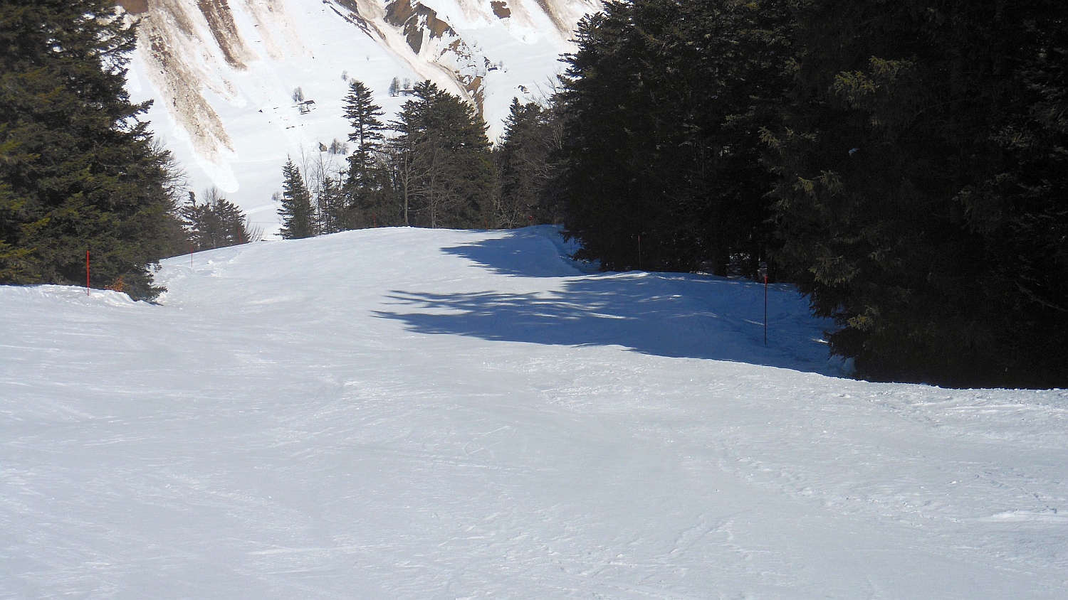 96653-pir-2446.jpg