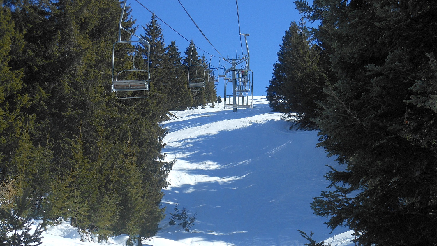 96656-pir-2454.jpg