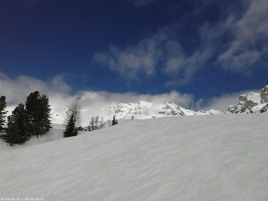 97041-1362911813159.jpg