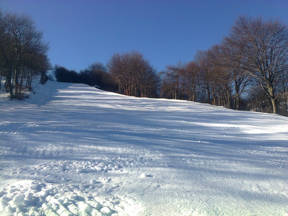 97440-foto0330.jpg