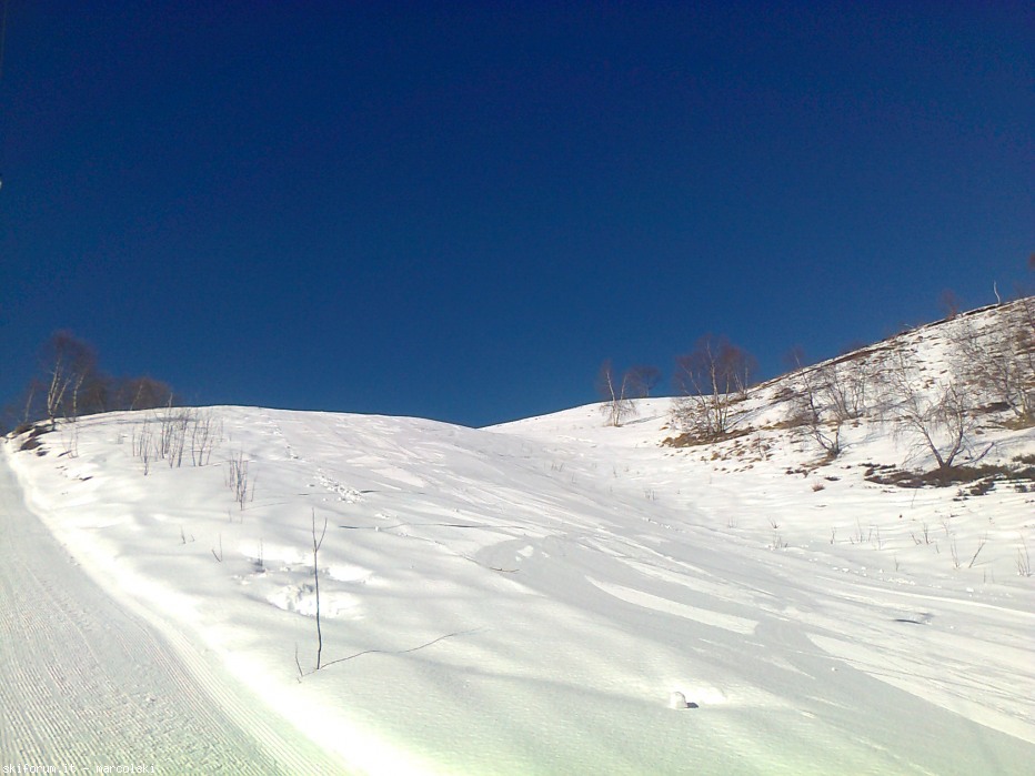 97443-foto0333.jpg