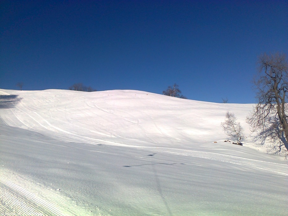 97445-foto0335.jpg