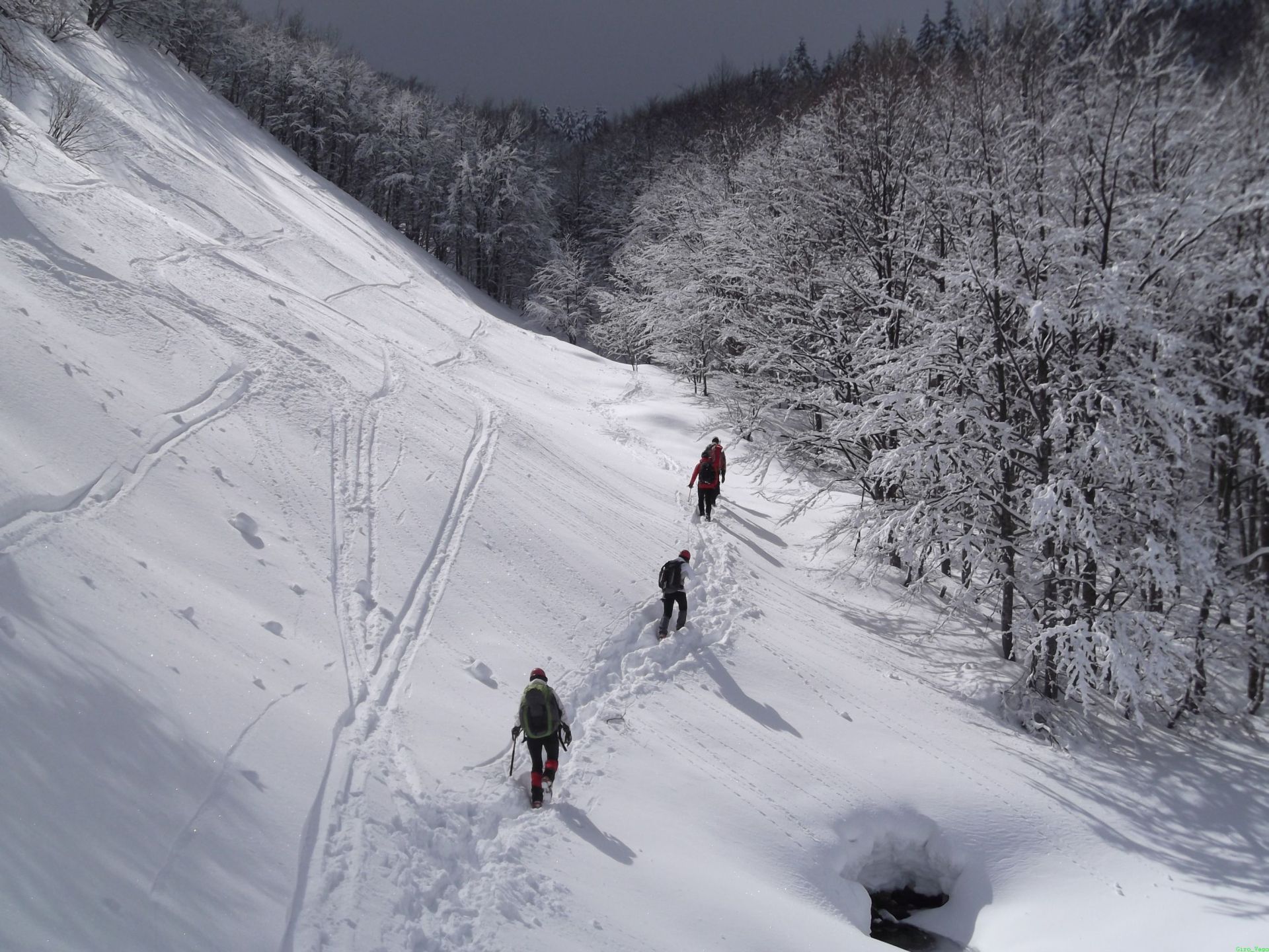 97741-lago-santo-col-cai-16-mar-2013-55.jpg