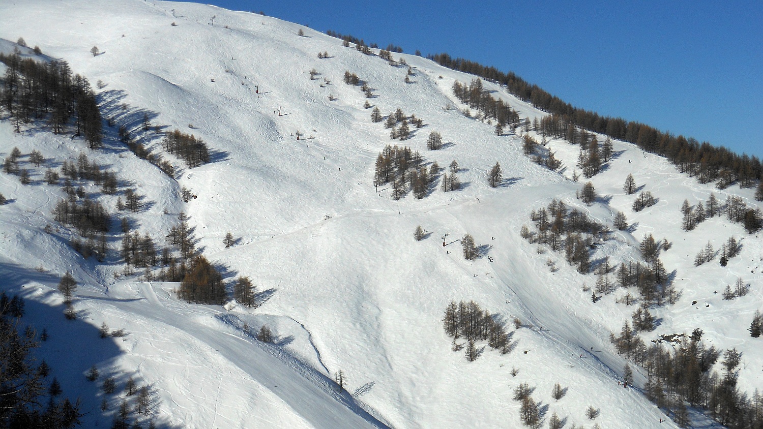 97953-pl-185.jpg