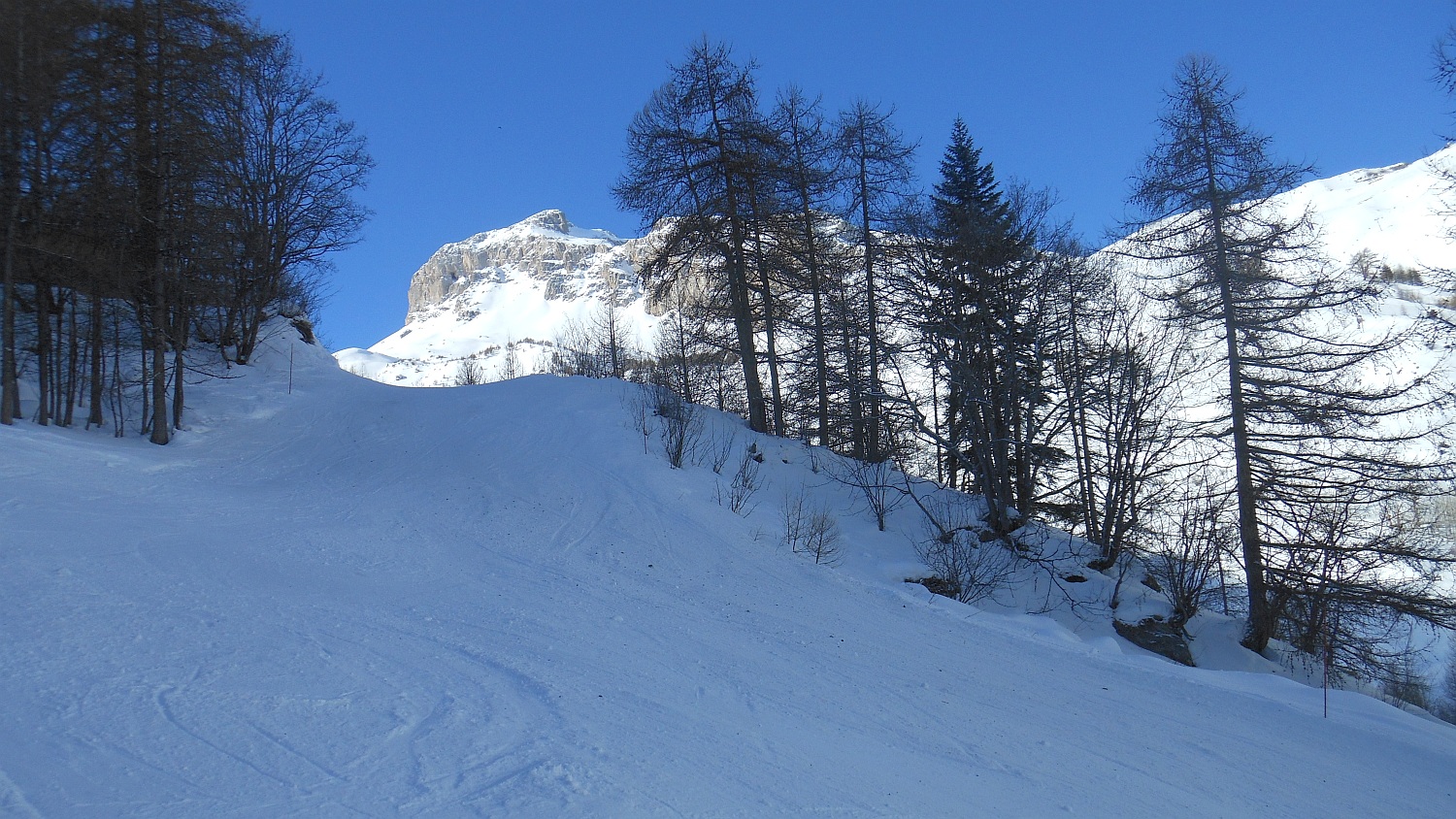 97972-pl-234.jpg