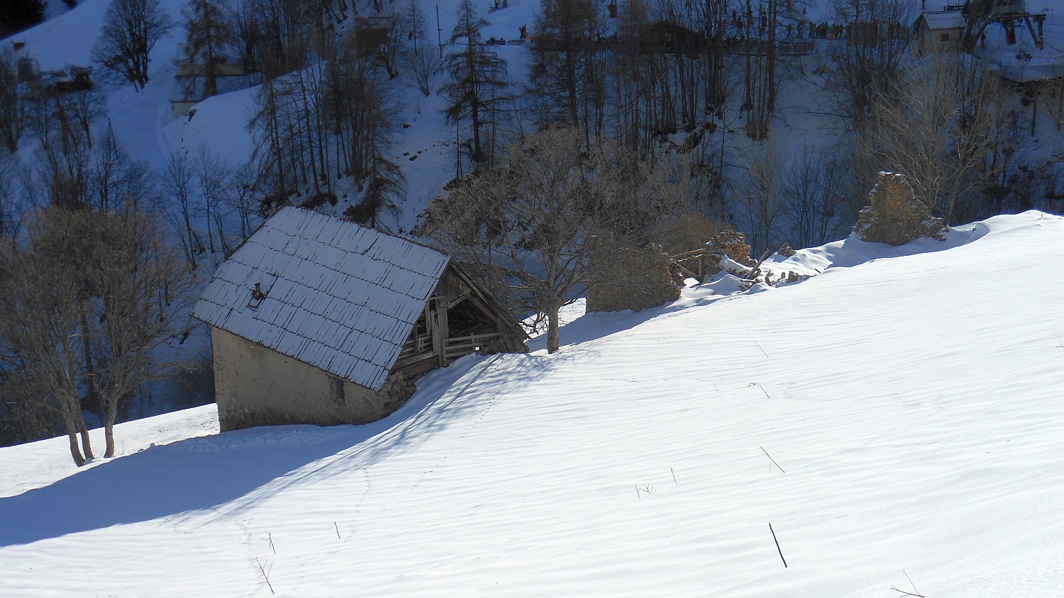 97974-pl-236.jpg