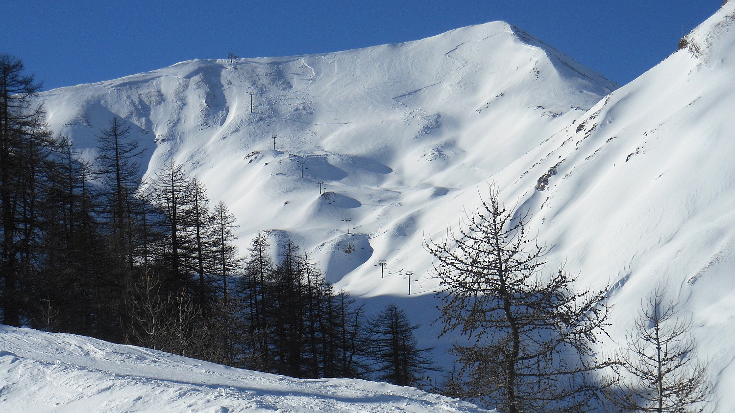 97979-pl-247.jpg