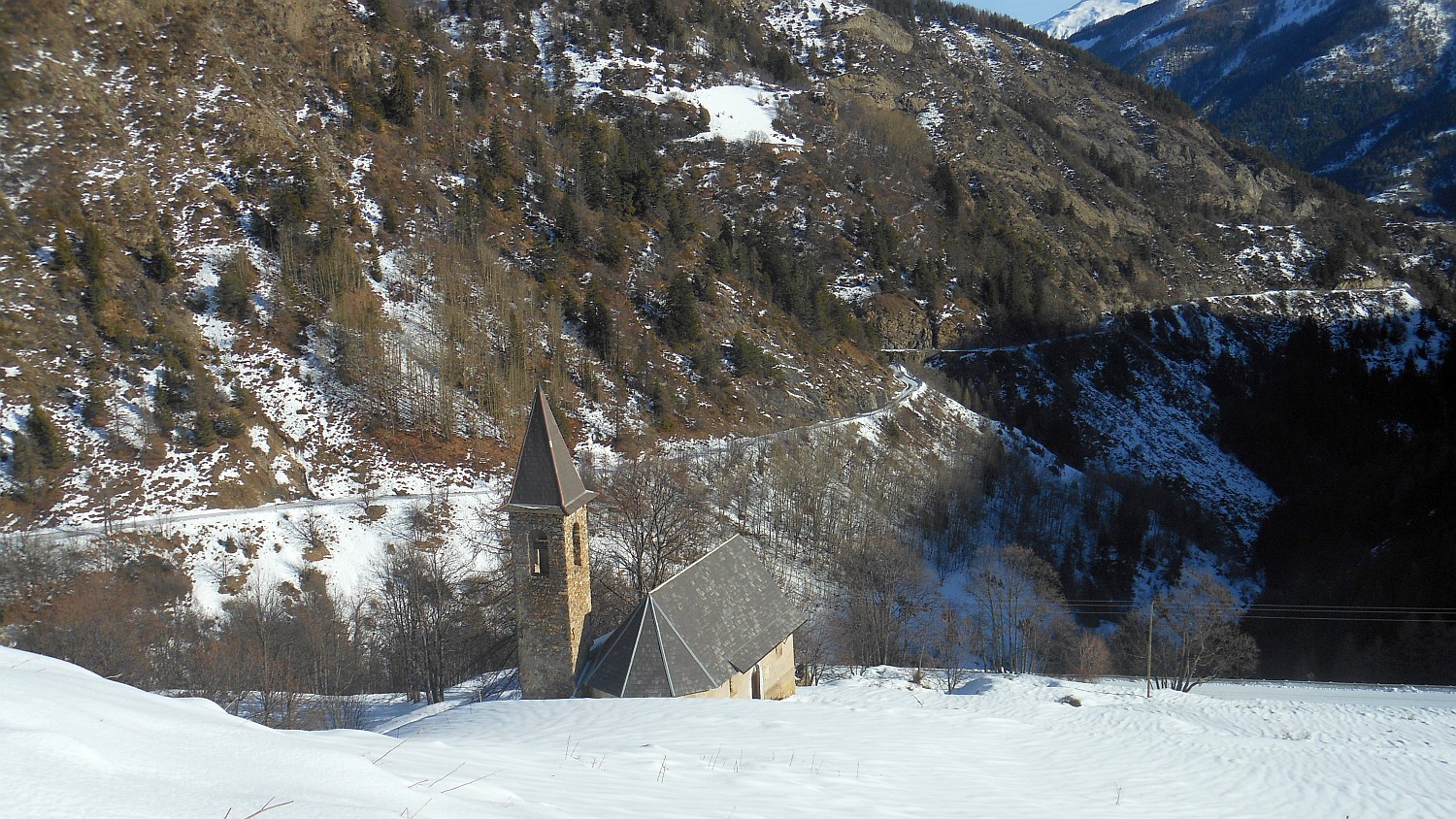 98037-pl-2350.jpg