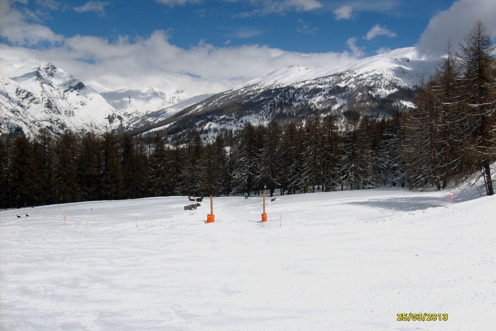 98615-11-zona-animaletti-finti-sulla-pista-1.jpg