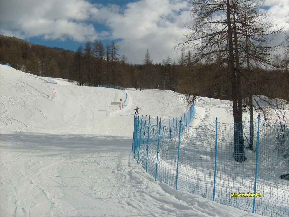 98623-19-innesto-della-larici-su-zona-pra-neyron.jpg