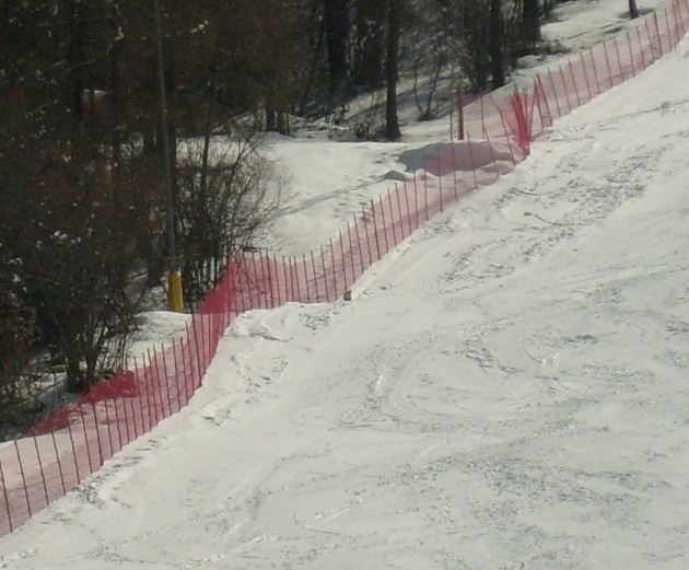 98626-22-sedere-del-camoscio.jpg