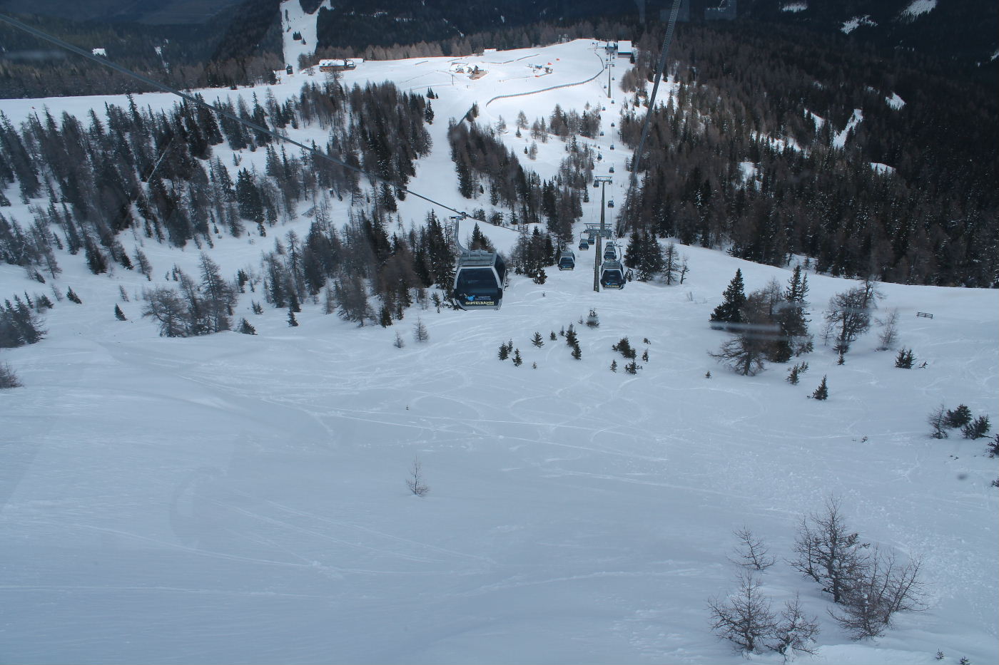 99863-img2852v1.jpg