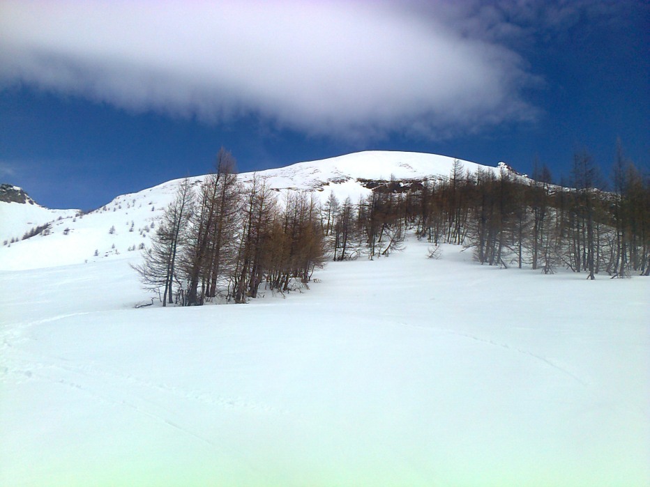 99945-foto0456.jpg