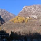 Tardo autunno in bassa valle