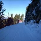 Stradino Alpe Cermis