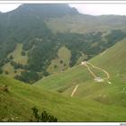 foto malga frasele