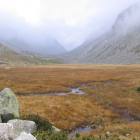 Le torbiere della bassa Val Adam&egrave;