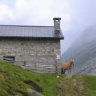 Malghe e alpeggi