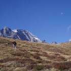 helsenhorn helsenhorn
