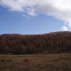 colori d'autunno in Buscagna colori d'autunno in Buscagna