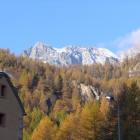Tripudio autunnale Tripudio autunnale