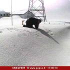 stelvio