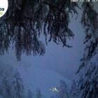 APRICA GRANDE NEVICATA APRICA GRANDE NEVICATA