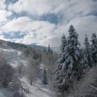Abeti e nuvole Abeti e nuvole