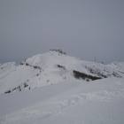 Auron