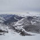 Auron