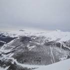 Auron