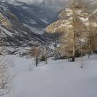 Boschetti La Thuile