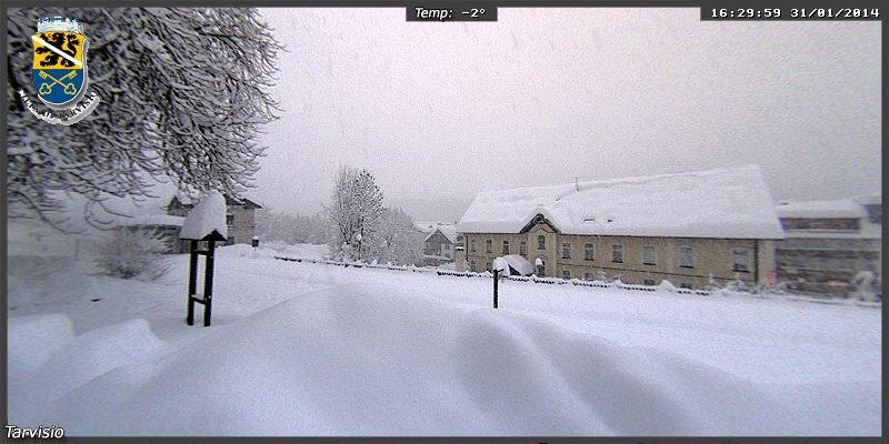 117729-image.jpg