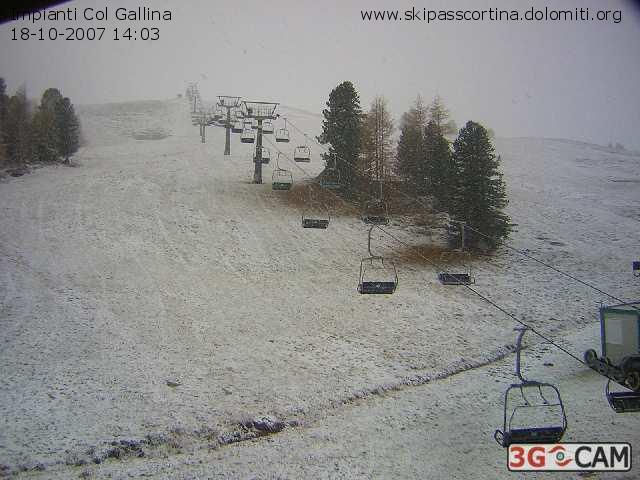 13781-col-gallina-18ottobre2007.jpg