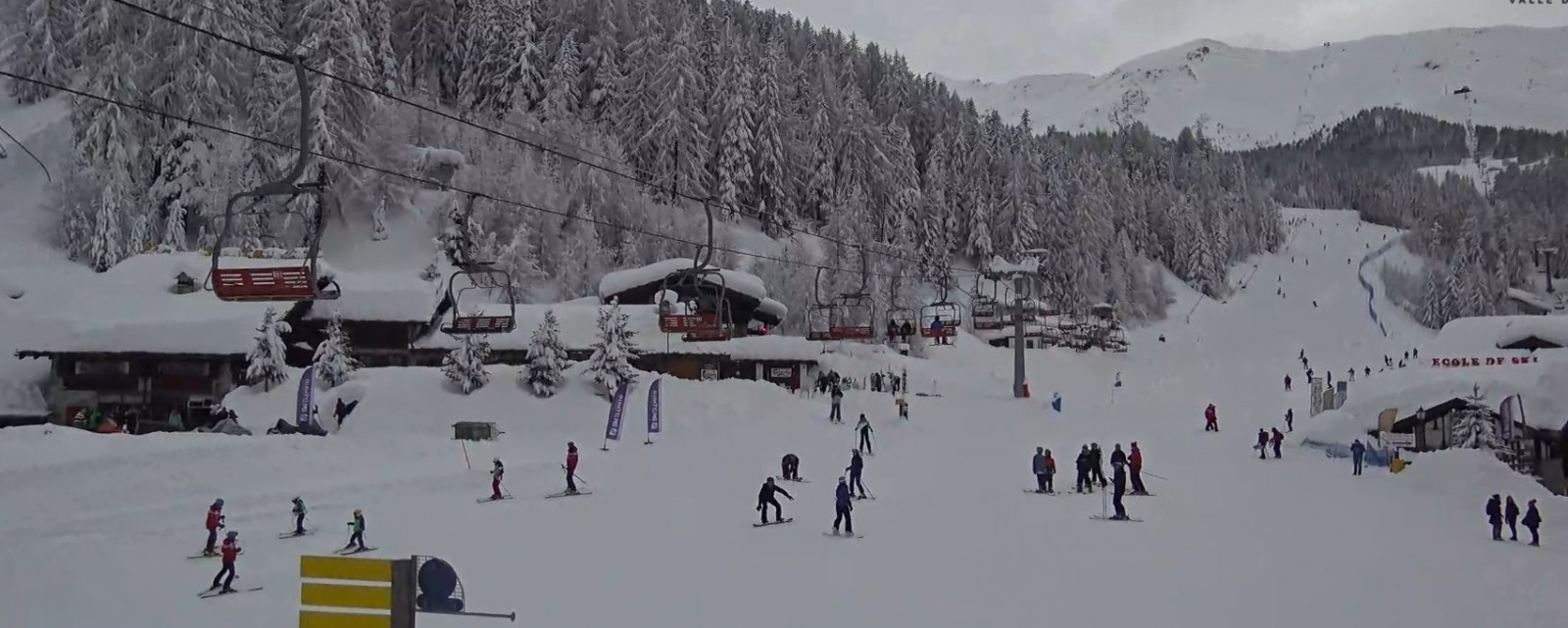 206849-zprevpila.jpg