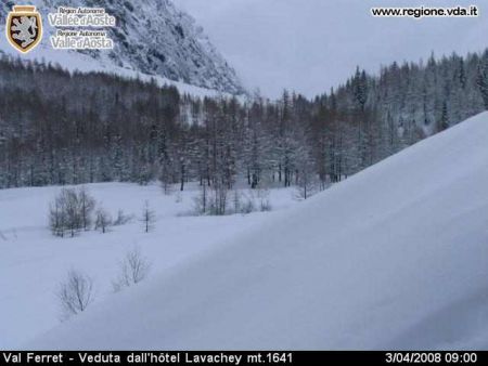 22337-val-ferret-03042008.jpg