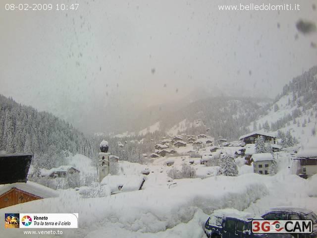 34030-zoldo4.jpg