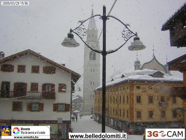 37460-cam44.jpg