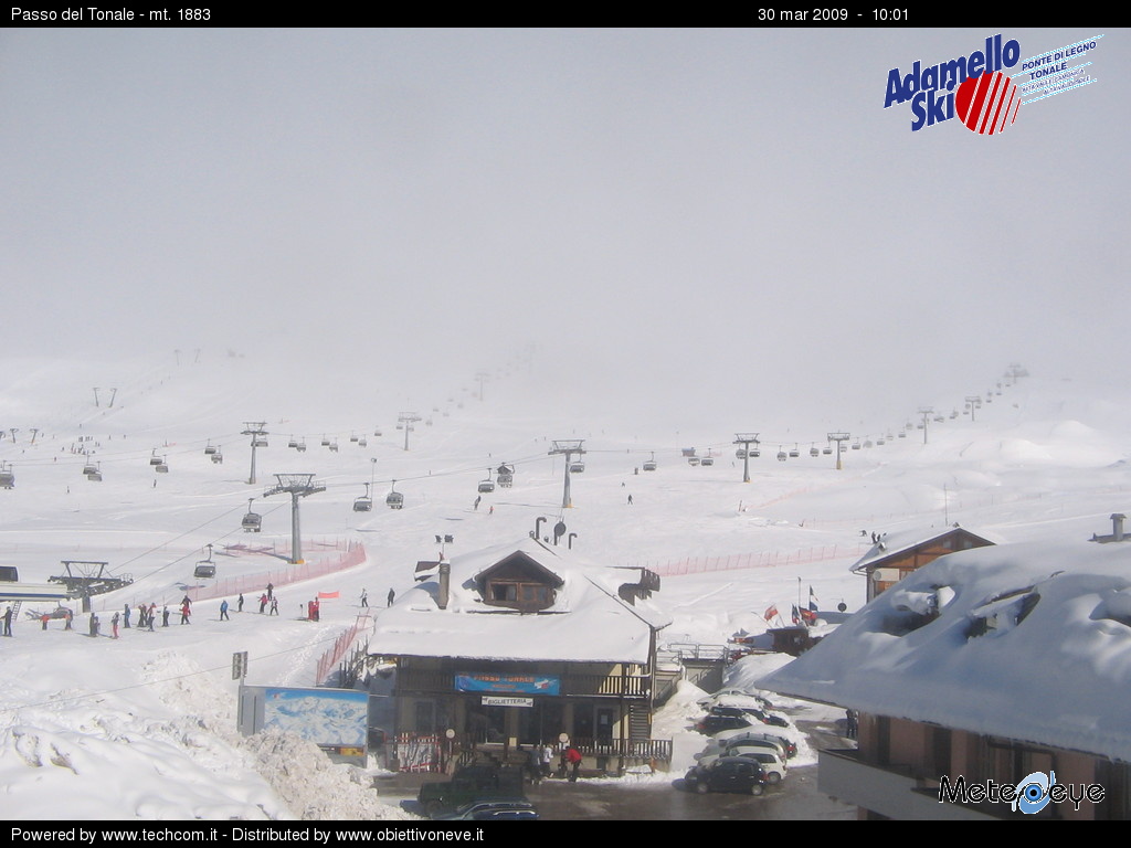 37477-tonale.jpg