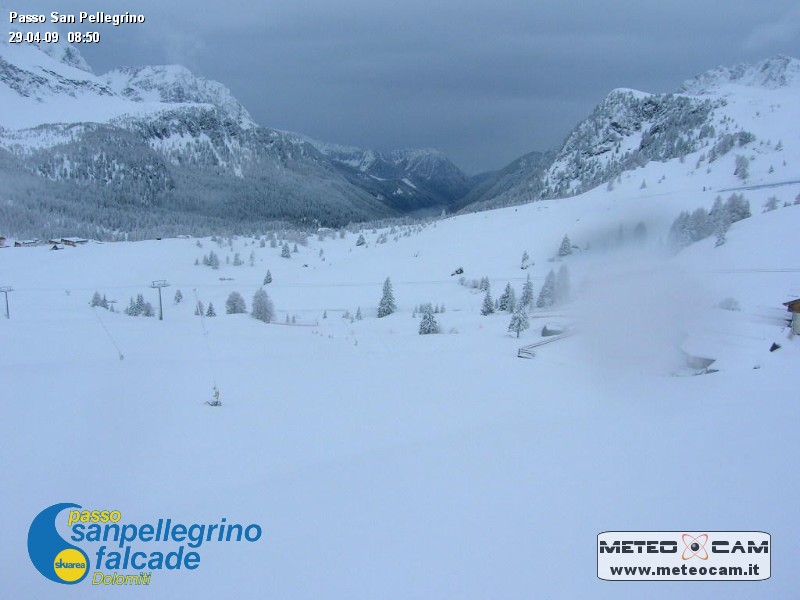39916-passo-san-pellegrino-fine-apr-09.jpg