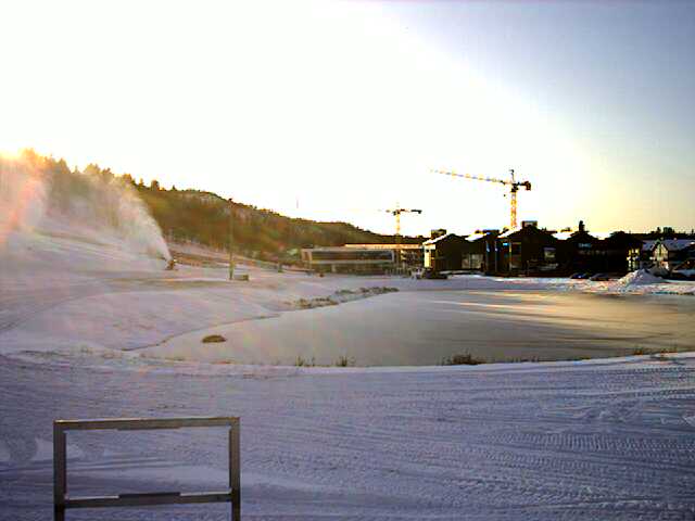 44114-image.jpg